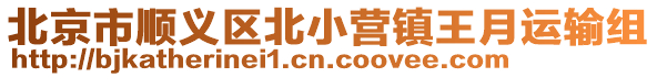 北京市順義區(qū)北小營鎮(zhèn)王月運(yùn)輸組