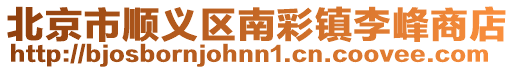 北京市順義區(qū)南彩鎮(zhèn)李峰商店