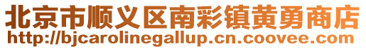 北京市順義區南彩鎮黃勇商店