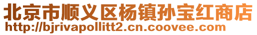 北京市順義區楊鎮孫寶紅商店