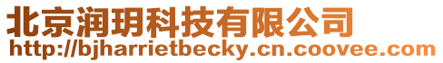 北京潤(rùn)玥科技有限公司