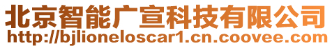 北京智能廣宣科技有限公司