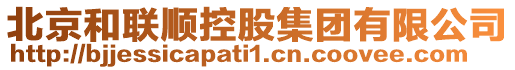 北京和聯(lián)順控股集團(tuán)有限公司