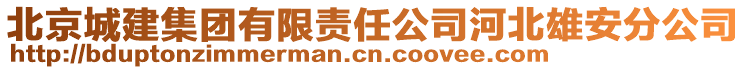 北京城建集團有限責任公司河北雄安分公司