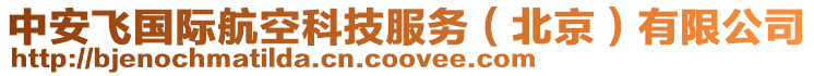 中安飛國際航空科技服務(wù)(北京)有限公司