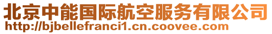 北京中能國際航空服務(wù)有限公司
