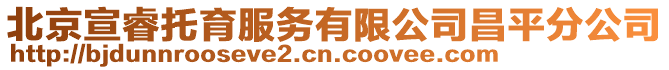 北京宣睿托育服務有限公司昌平分公司