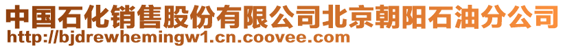 中國(guó)石化銷售股份有限公司北京朝陽石油分公司