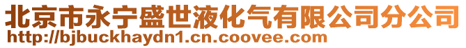 北京市永寧盛世液化氣有限公司分公司