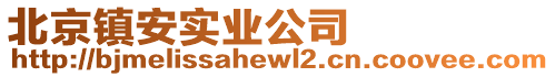 北京鎮安實業公司