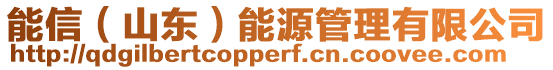 能信（山東）能源管理有限公司