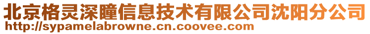 北京格靈深瞳信息技術(shù)有限公司沈陽(yáng)分公司