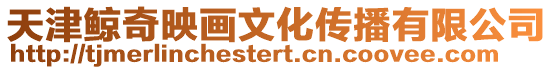 天津鯨奇映畫文化傳播有限公司