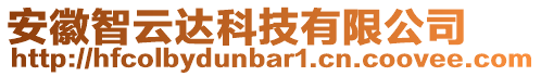 安徽智云達(dá)科技有限公司