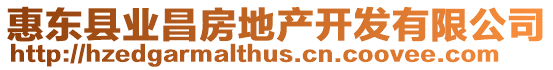 惠東縣業(yè)昌房地產(chǎn)開發(fā)有限公司