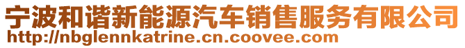 寧波和諧新能源汽車銷售服務(wù)有限公司