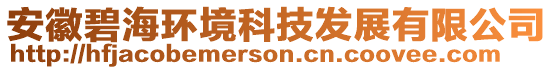 安徽碧海環(huán)境科技發(fā)展有限公司