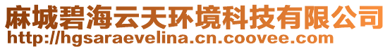 麻城碧海云天環(huán)境科技有限公司