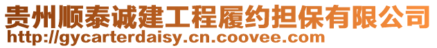 貴州順泰誠(chéng)建工程履約擔(dān)保有限公司
