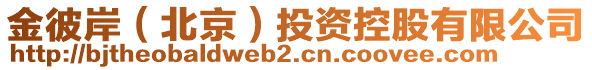 金彼岸（北京）投資控股有限公司