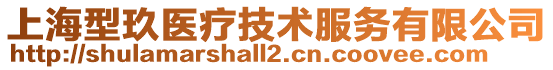 上海型玖醫療技術服務有限公司