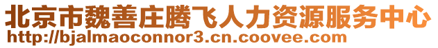北京市魏善莊騰飛人力資源服務(wù)中心