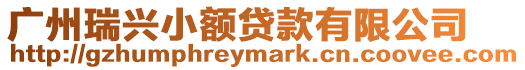 廣州瑞興小額貸款有限公司