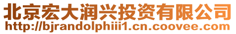 北京宏大潤興投資有限公司