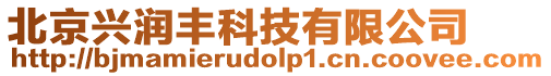 北京興潤豐科技有限公司