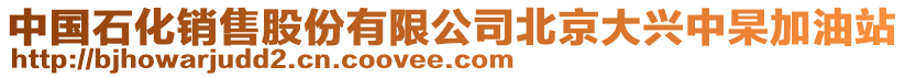 中國石化銷售股份有限公司北京大興中杲加油站