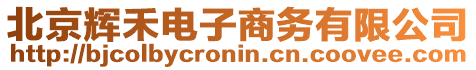 北京輝禾電子商務有限公司