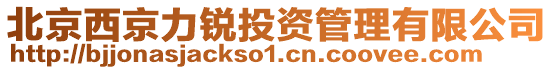 北京西京力銳投資管理有限公司