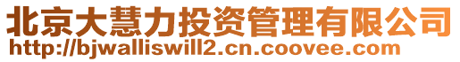 北京大慧力投資管理有限公司