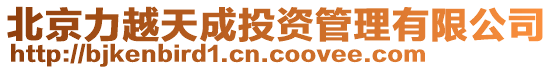 北京力越天成投資管理有限公司