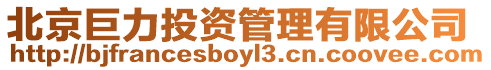 北京巨力投資管理有限公司