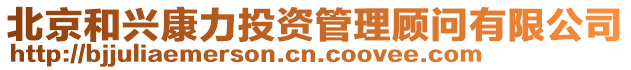 北京和興康力投資管理顧問有限公司