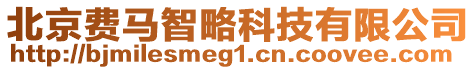 北京費(fèi)馬智略科技有限公司