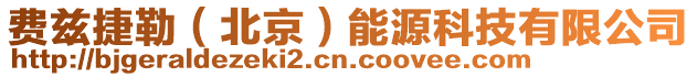 費茲捷勒(北京)能源科技有限公司