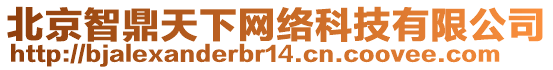 北京智鼎天下網絡科技有限公司