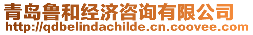 青島魯和經濟咨詢有限公司