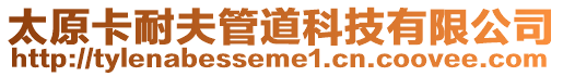 太原卡耐夫管道科技有限公司
