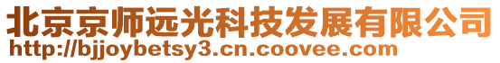 北京京師遠(yuǎn)光科技發(fā)展有限公司