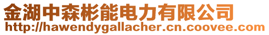 金湖中森彬能電力有限公司