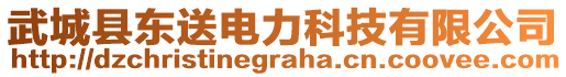 武城縣東送電力科技有限公司