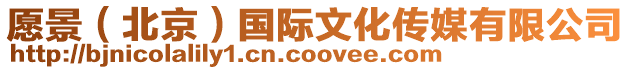 愿景(北京)國際文化傳媒有限公司