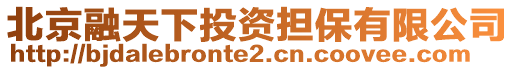 北京融天下投資擔保有限公司