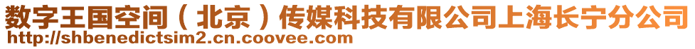 數(shù)字王國(guó)空間（北京）傳媒科技有限公司上海長(zhǎng)寧分公司