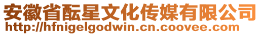 安徽省醞星文化傳媒有限公司