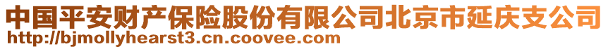 中國平安財(cái)產(chǎn)保險(xiǎn)股份有限公司北京市延慶支公司