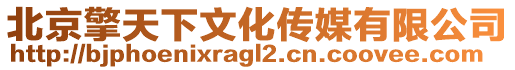 北京擎天下文化傳媒有限公司